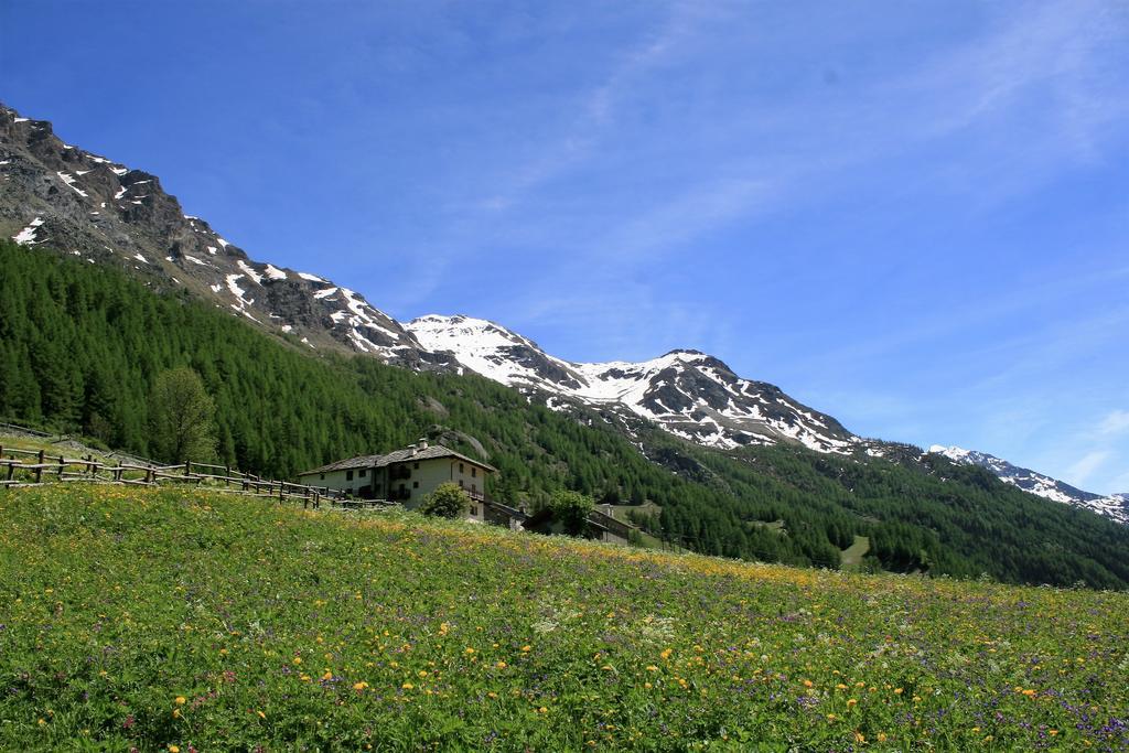 Maison Des Myrtilles Hotel Valgrisenche Exterior foto
